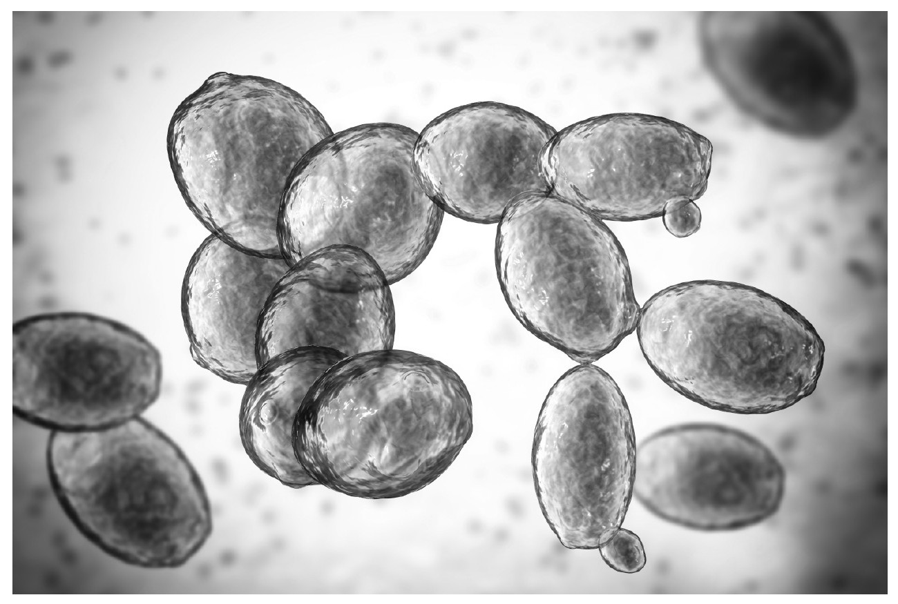 Figure for Question 10 — Edexcel A-Level Biology A2