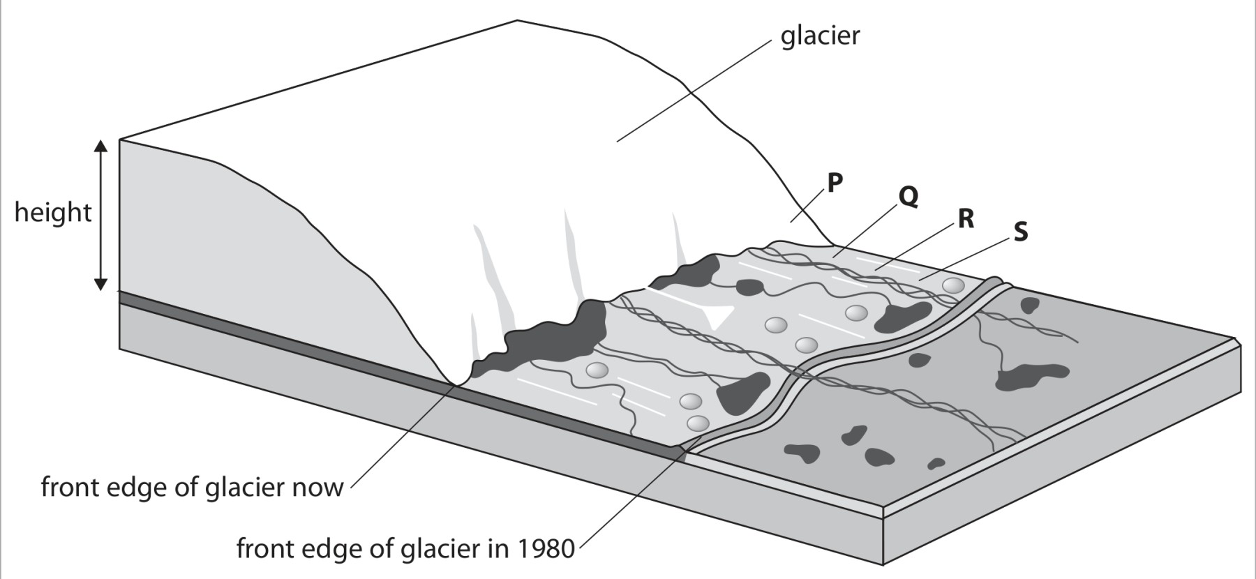 Figure for Question 3 — Edexcel A-Level Biology A2