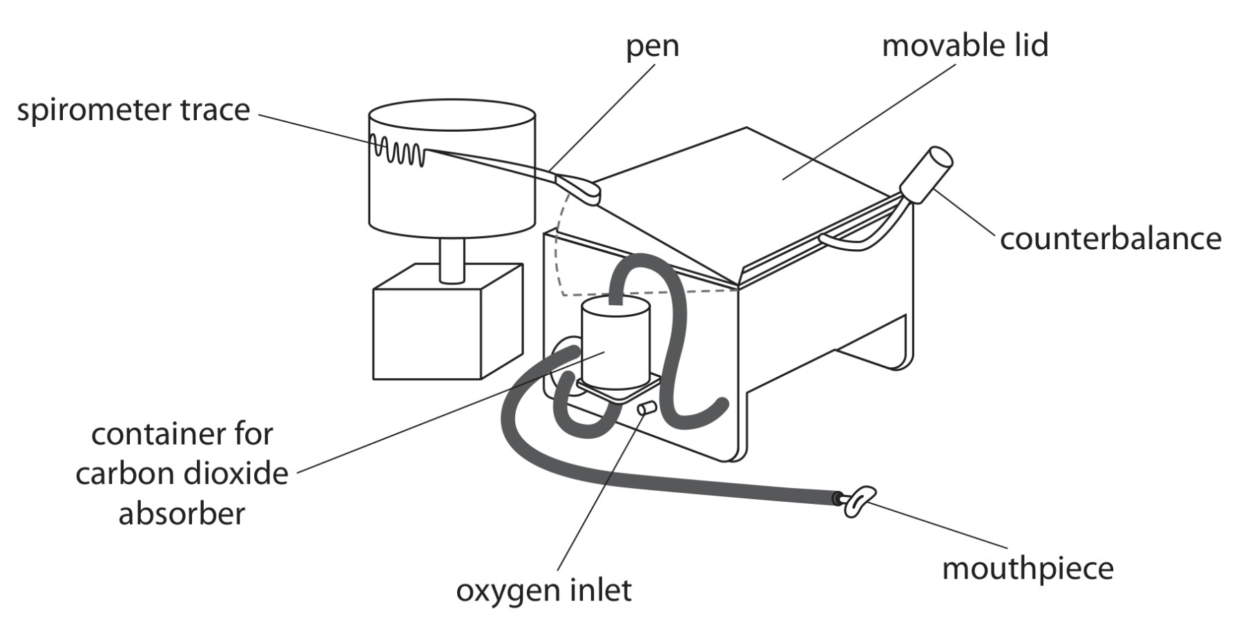 Figure for Question 10 — Edexcel A-Level Biology A2