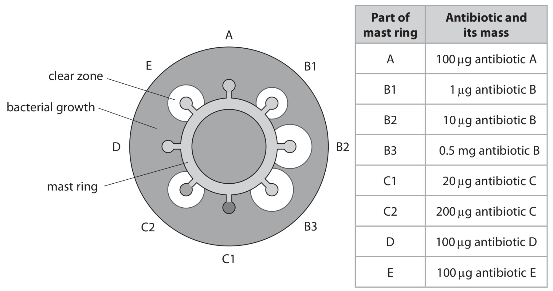 Figure for Question 13 — Edexcel A-Level Biology A2