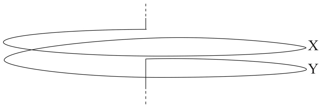 Figure for Question 1 — IB Physics SL