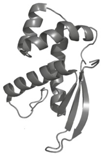 Native protein
