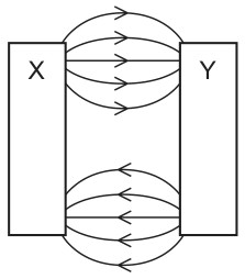 Figure for Question CAIE IGCSE Physics 4.1.6 Pattern and Direction of Magnetic Questions question 1 — CAIE IGCSE Physics