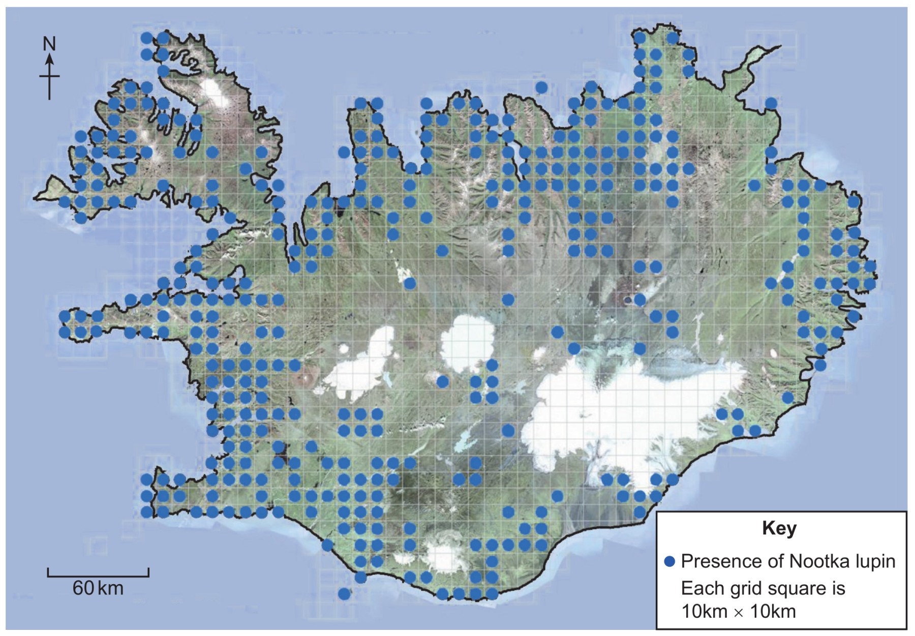 Known distribution of Nootka lupin in 2010