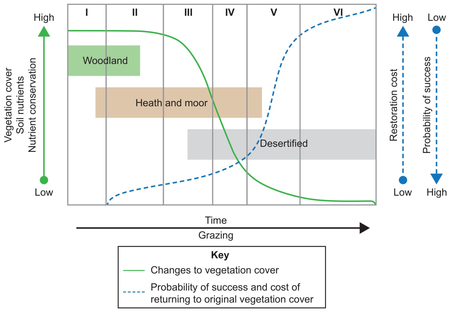 Stages of soil degradation and vegetation-cover change in Iceland