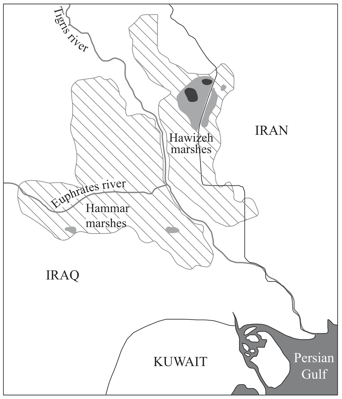 Reduction in marsh area between 1973 and 2000