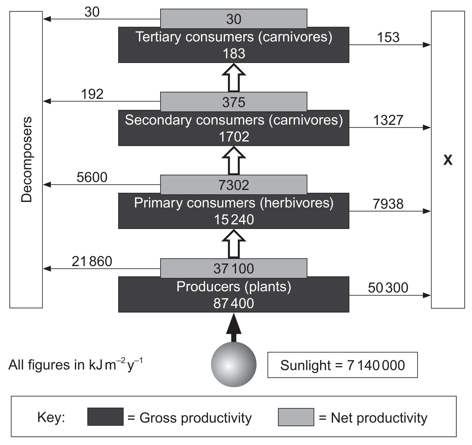 Figure for Question IB ESS HL 2.2.25 Hl Npp and Food Chains Questions question 1 — IB ESS HL