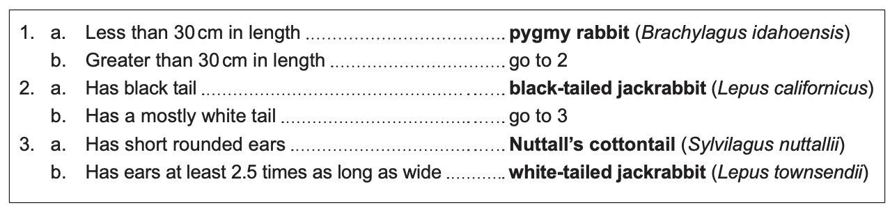 Figure: A dichotomous key for species A to D