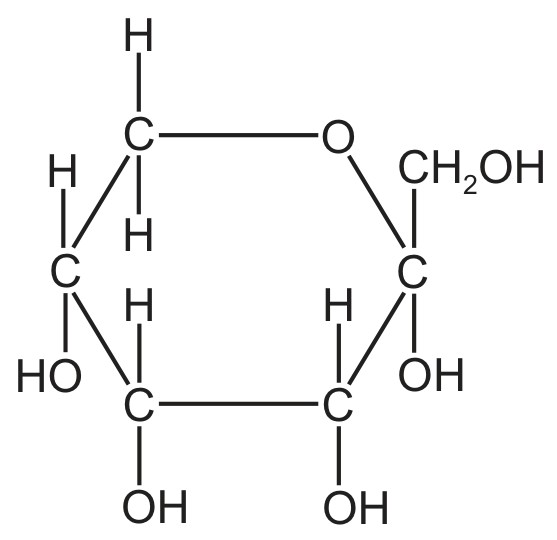 Figure for Question 1 — CAIE A-Level Biology AS — Option C