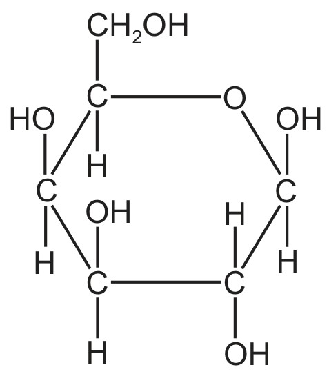 Figure for Question 1 — CAIE A-Level Biology AS — Option D