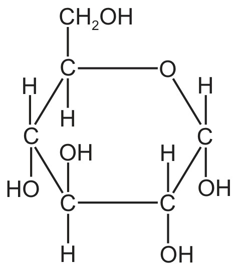 Figure for Question 1 — CAIE A-Level Biology AS — Option B