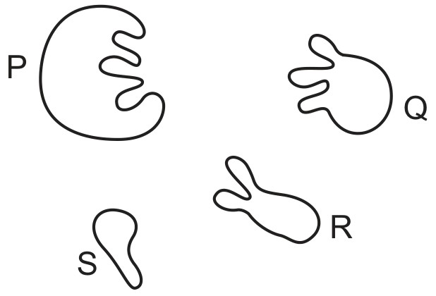 Figure for Question 2 — CAIE A-Level Biology AS