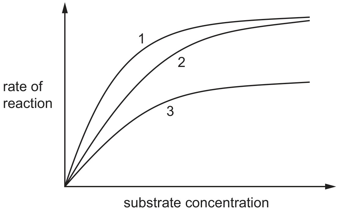 Figure for Question 3 — CAIE A-Level Biology AS