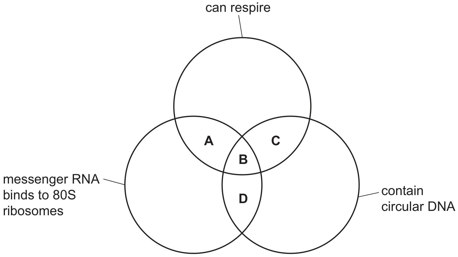Figure for Question CAIE A-Level Biology AS 1.2.6 Prokaryotes Vs Eukaryotes Questions question 1 — CAIE A-Level Biology AS