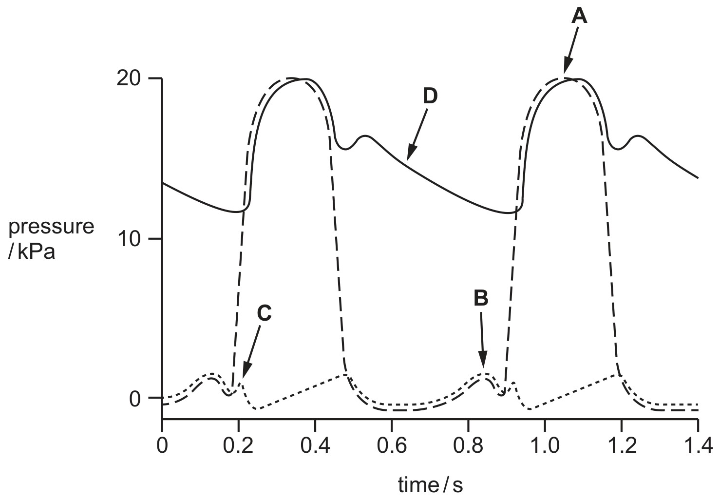 Figure for Question 3 — CAIE A-Level Biology AS