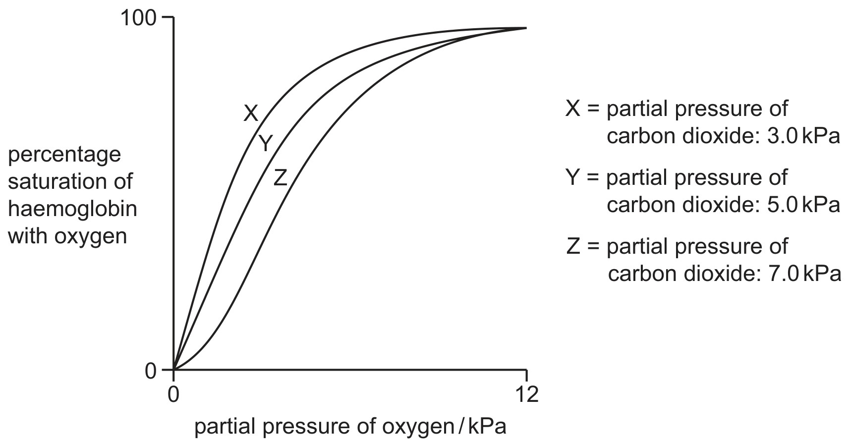 Figure for Question CAIE A-Level Biology AS 8.2.6 Bohr Shift and Its Importance Questions question 1 — CAIE A-Level Biology AS