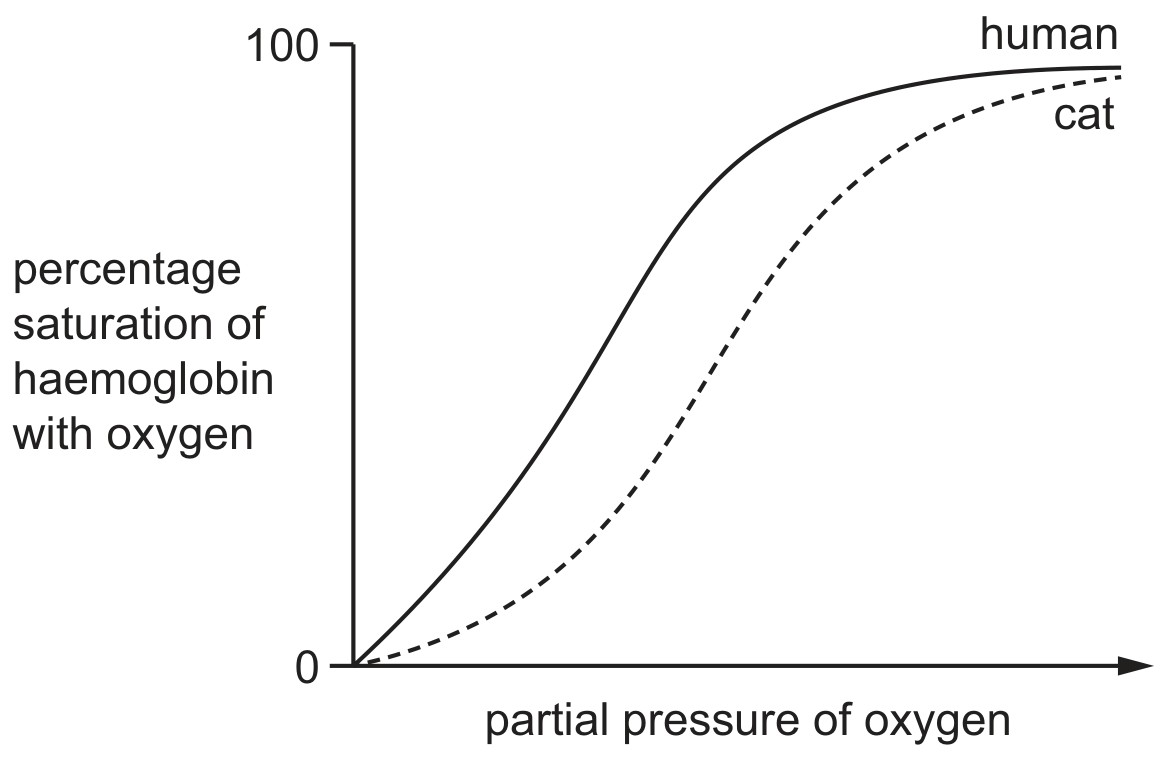 Figure for Question CAIE A-Level Biology AS 8.2.4 Oxygen Dissociation Curve Questions question 1 — CAIE A-Level Biology AS