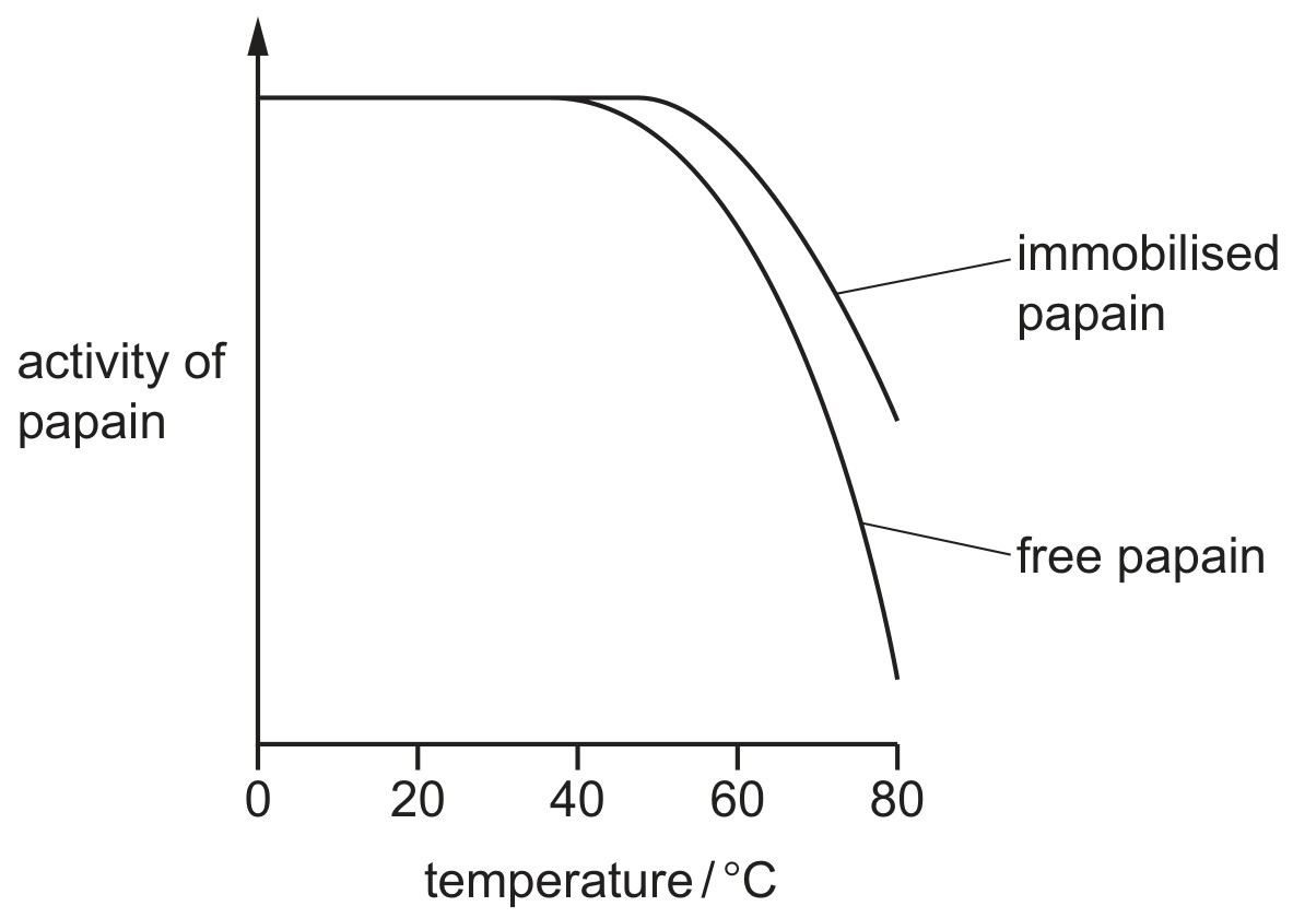 Figure for Question CAIE A-Level Biology AS 3.2.4 Immobilised Enzymes Questions question 1 — CAIE A-Level Biology AS