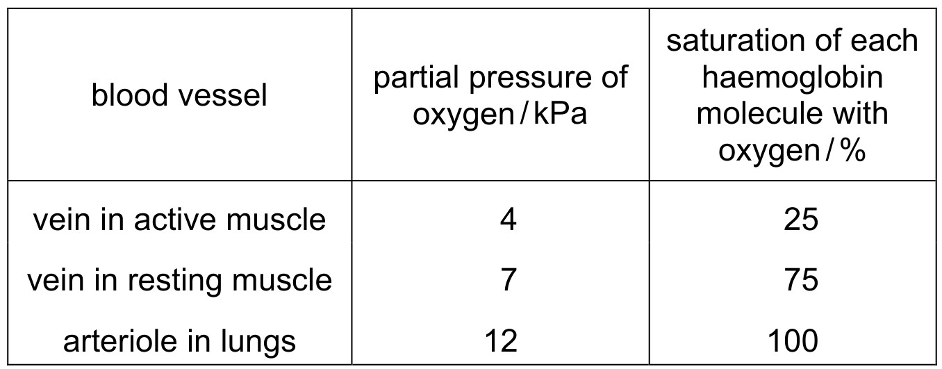Table for Question CAIE A-Level Biology AS 8.2.5 Partial Pressures and Oxygen Loading Questions question 1 — CAIE A-Level Biology AS