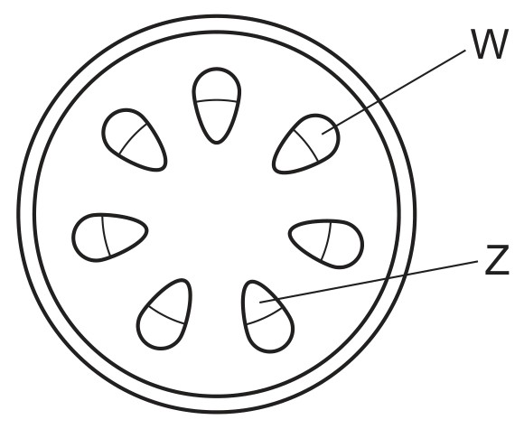 Figure for Question 2 — CAIE A-Level Biology AS