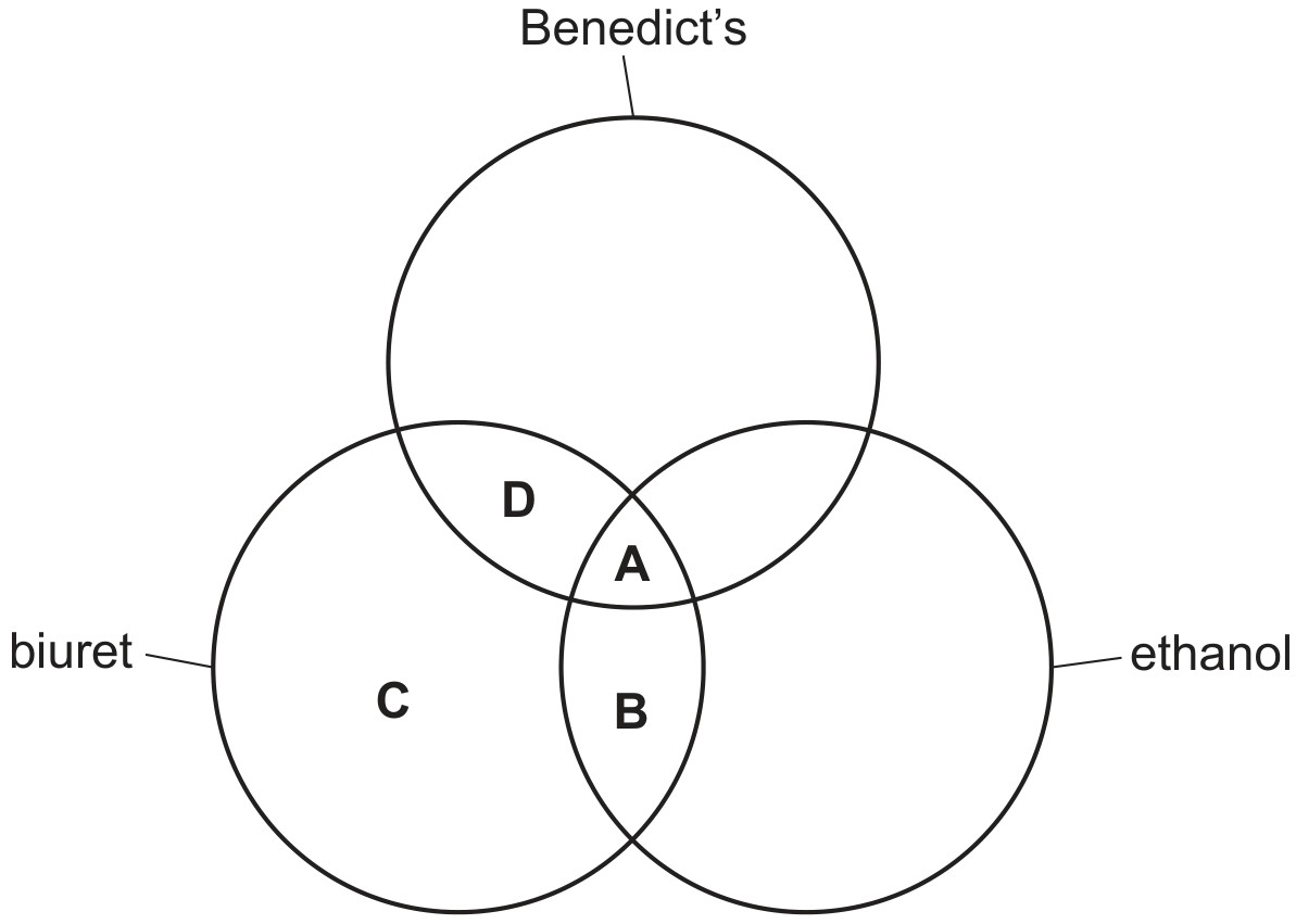 Figure for Question CAIE A-Level Biology AS 2.1.4 Biuret Test for Proteins Questions question 1 — CAIE A-Level Biology AS