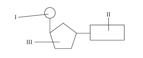 Figure for Question IB Biology SL A1.2.6 Dna As a Double Helix Questions question 1 — IB Biology SL