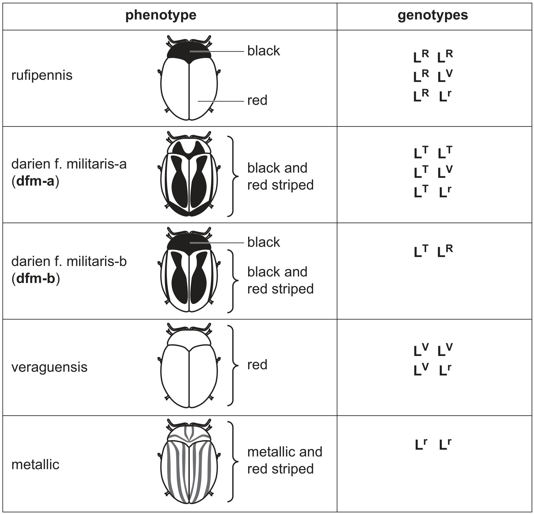 Table 3.1
