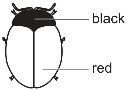 Figure for Question 2 — CAIE A-Level Biology A2
