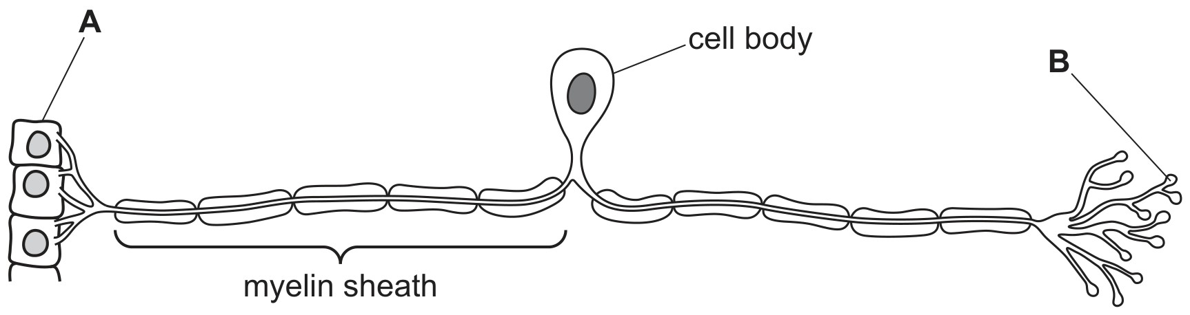Fig. 8.1