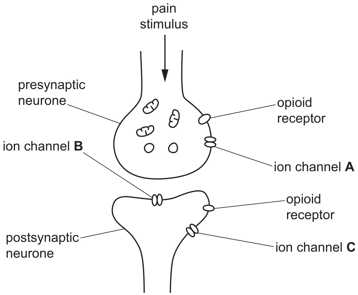 Fig. 8.2
