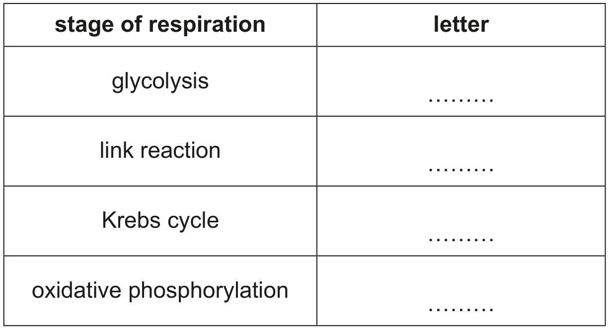Table 1.1