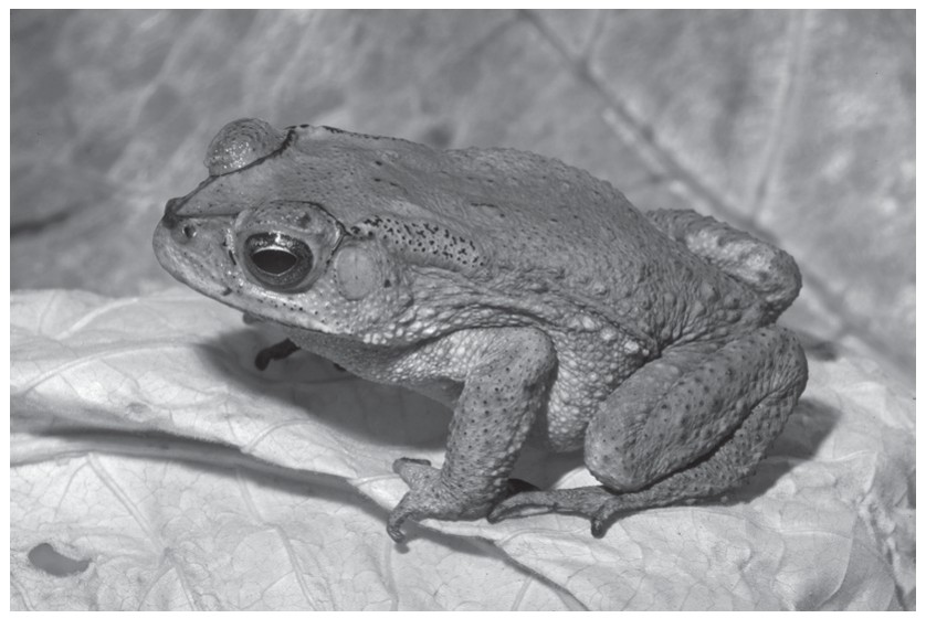 Fig. 9.1