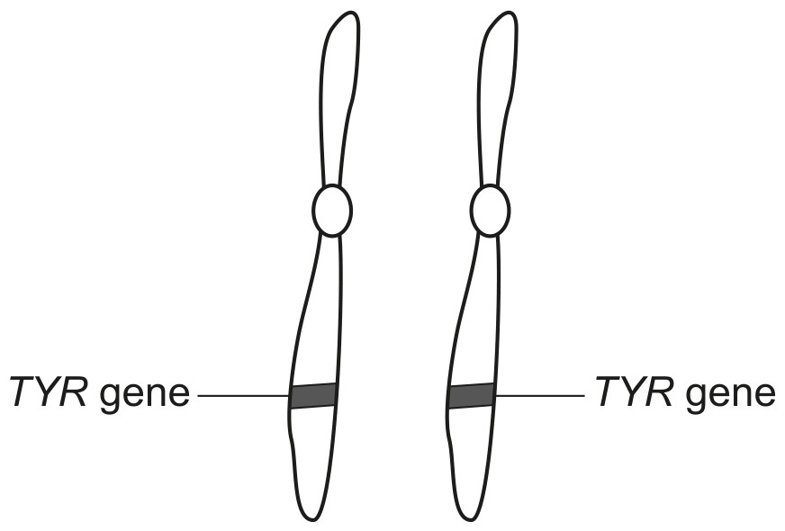 Fig. 6.1