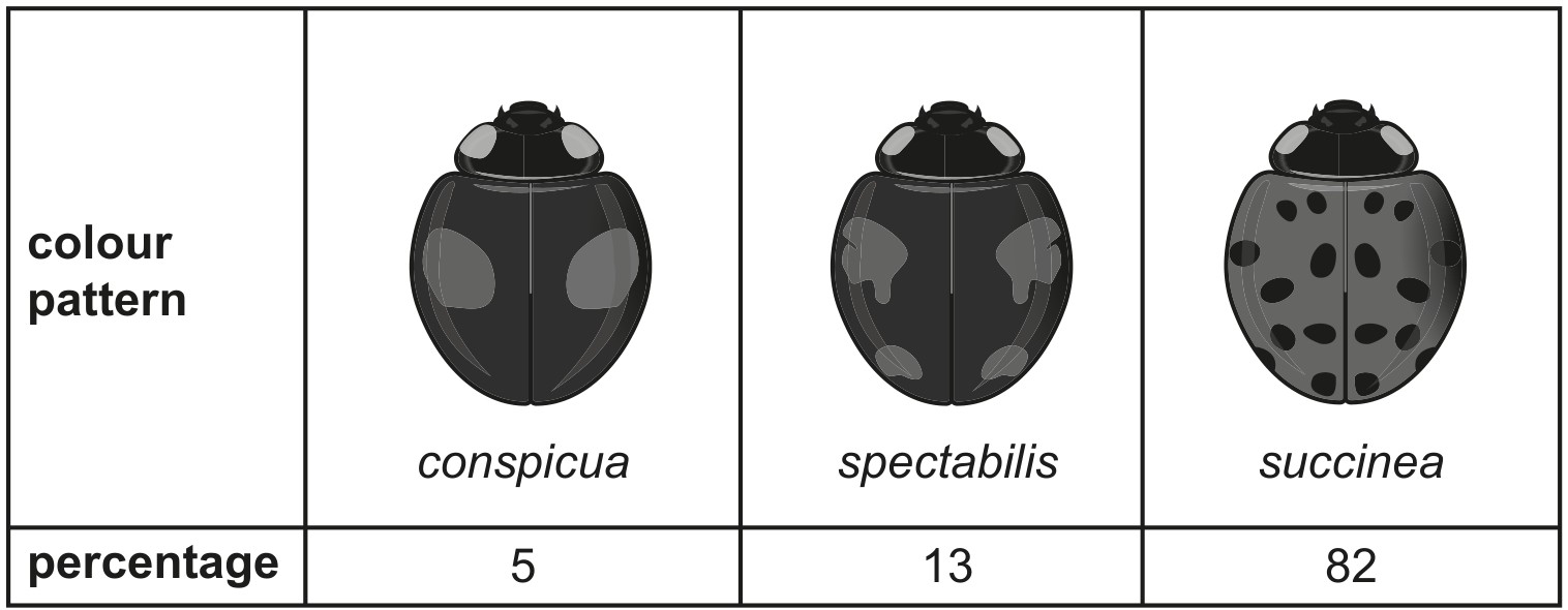 Fig. 9.1