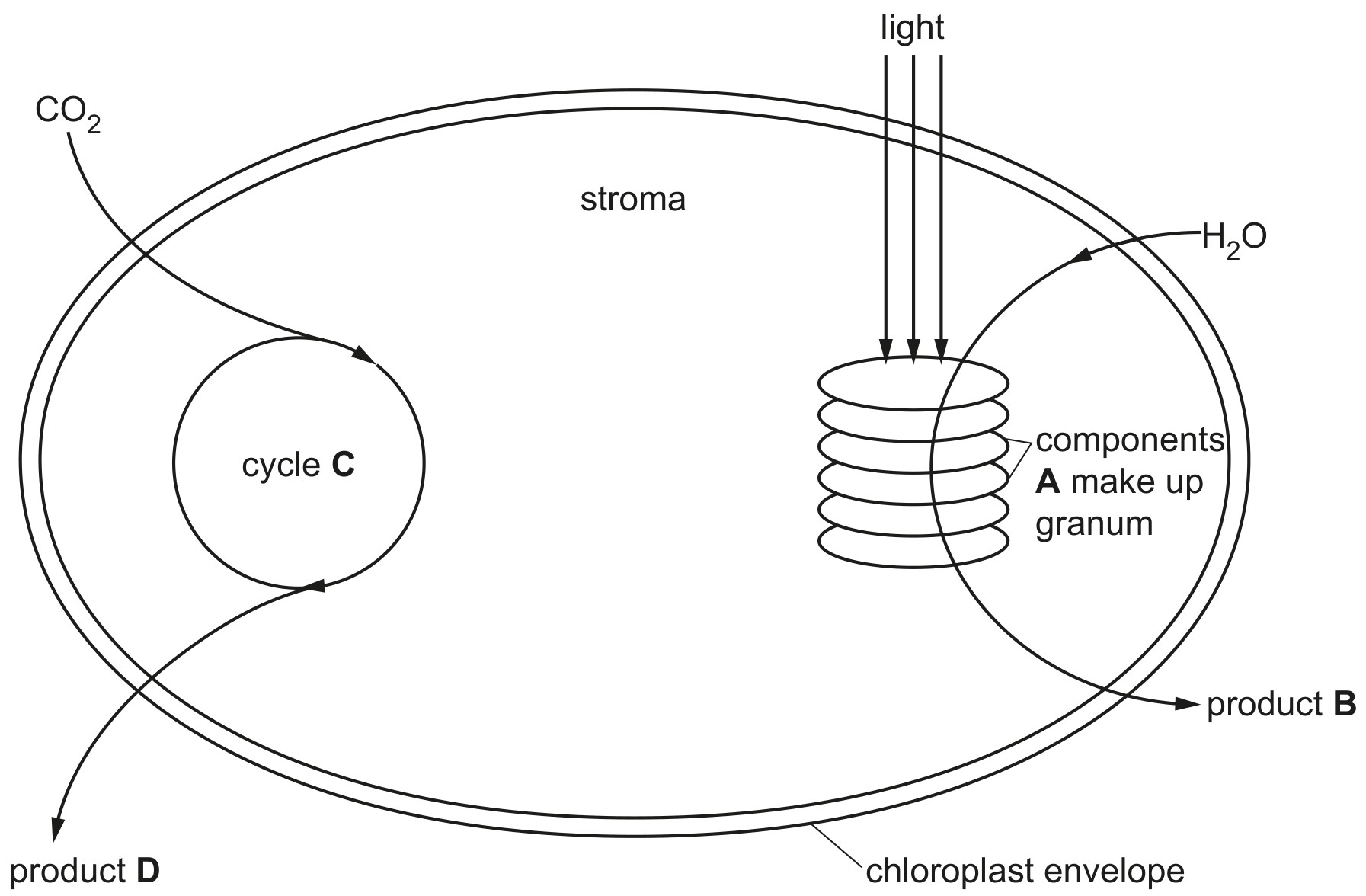 Fig. 1.1