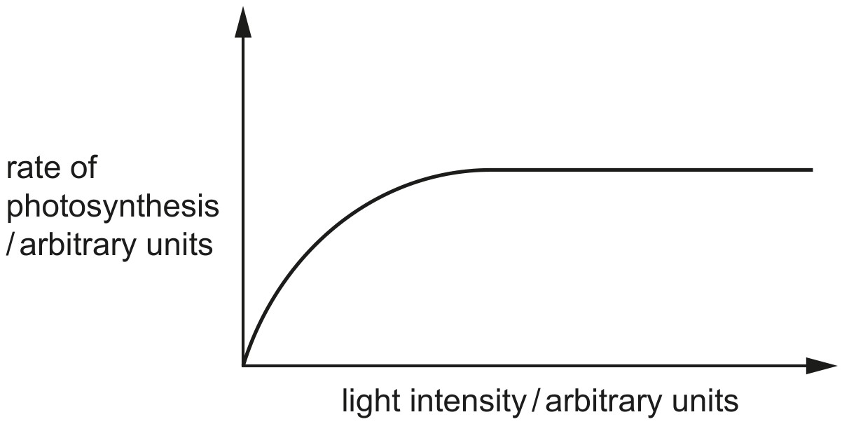 Fig. 8.1