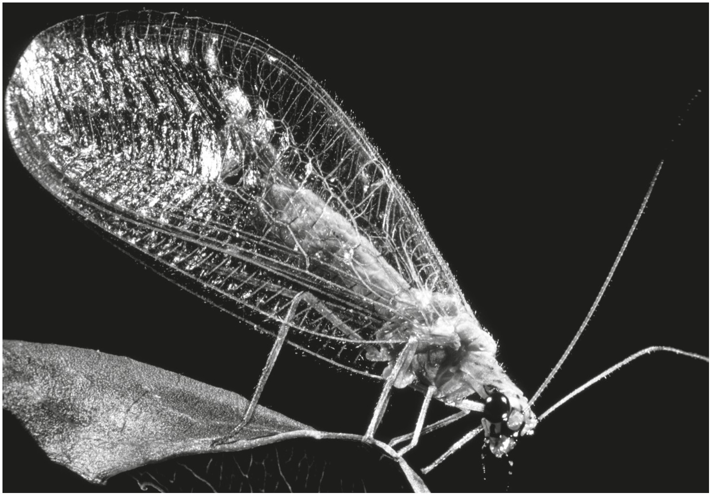 Fig. 9.1