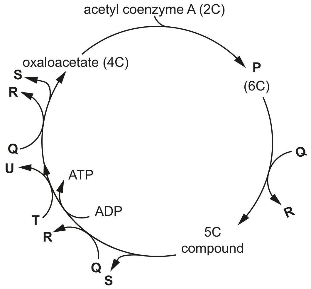 Fig. 1.1