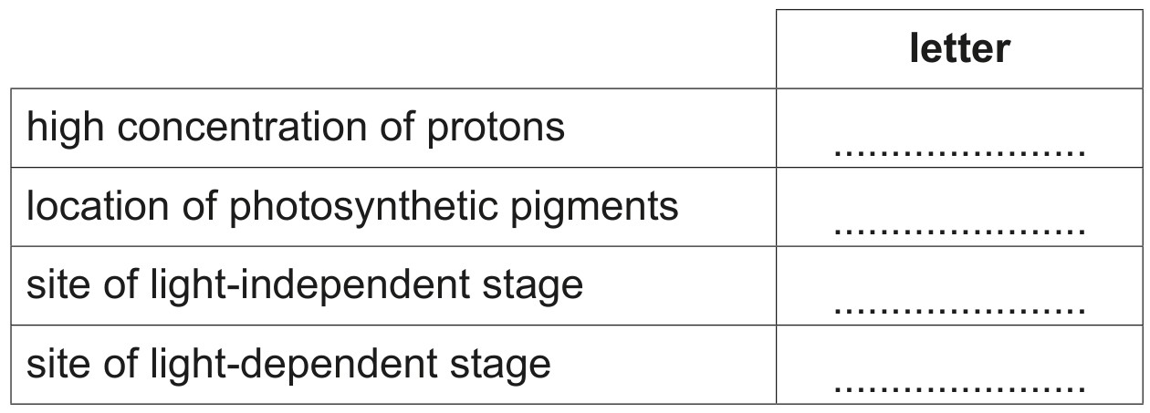 Table 8.1
