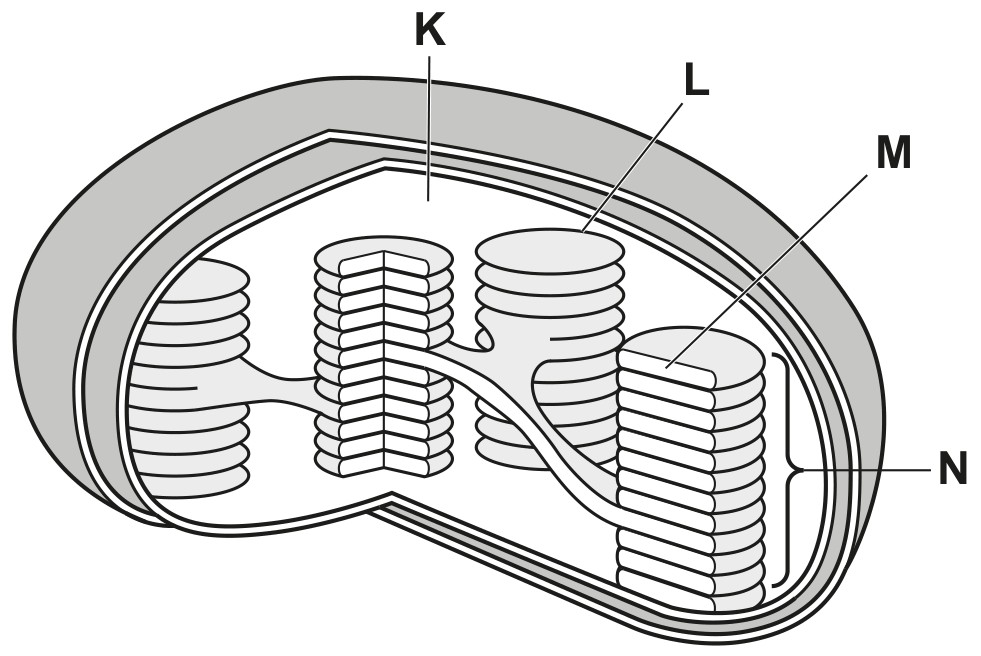 Fig. 8.1