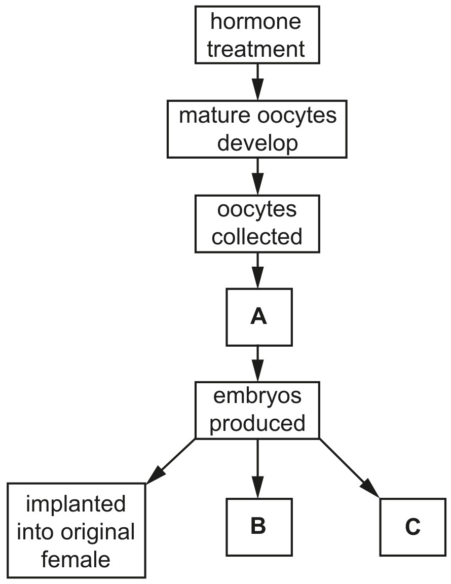 Fig. 10.2