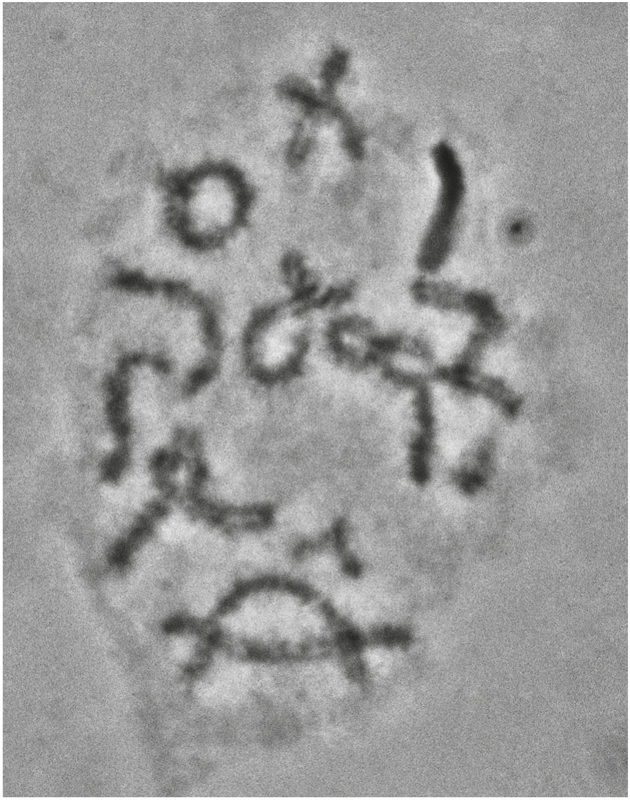 Fig. 8.1