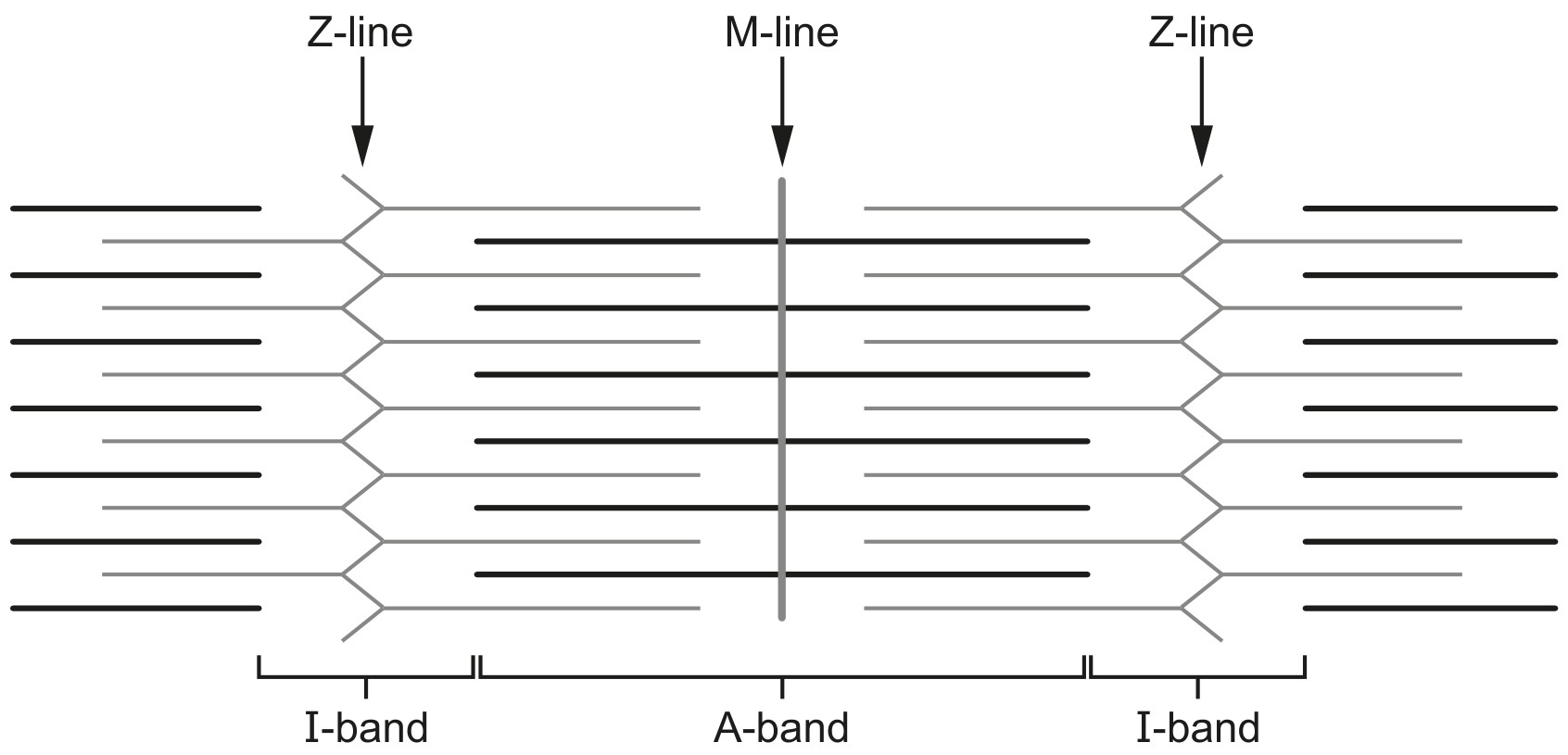 Fig. 9.1