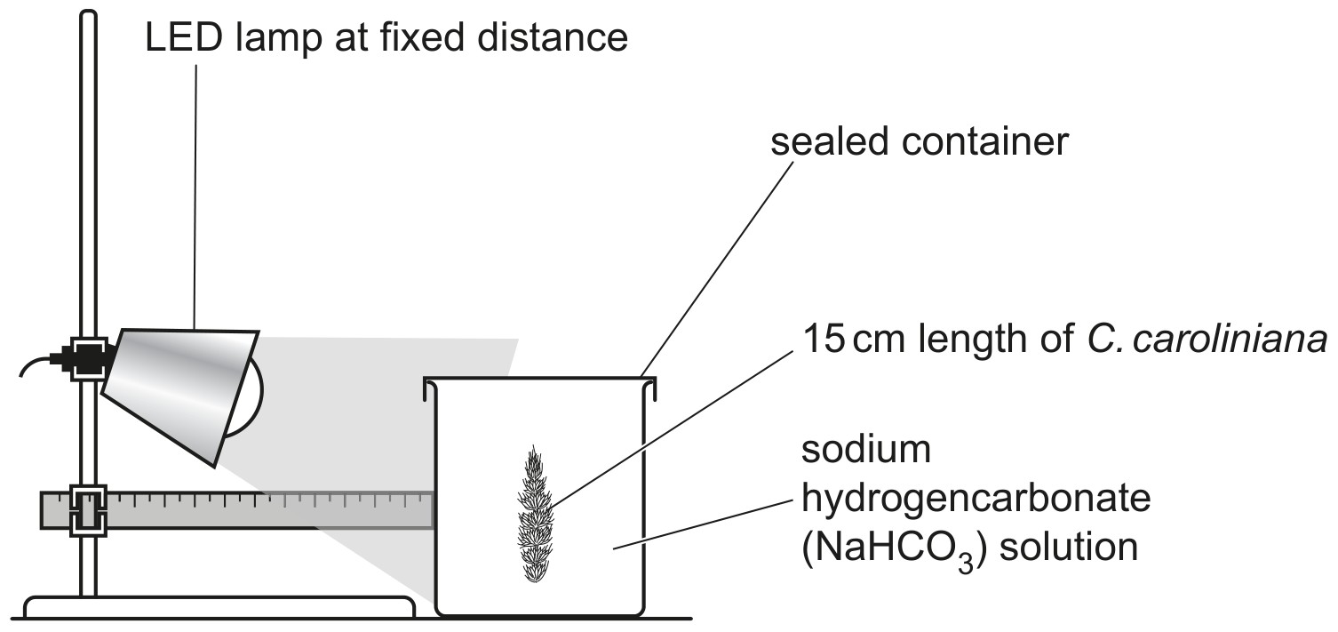 Fig. 1.1 shows the experimental set-up for this investigation.
