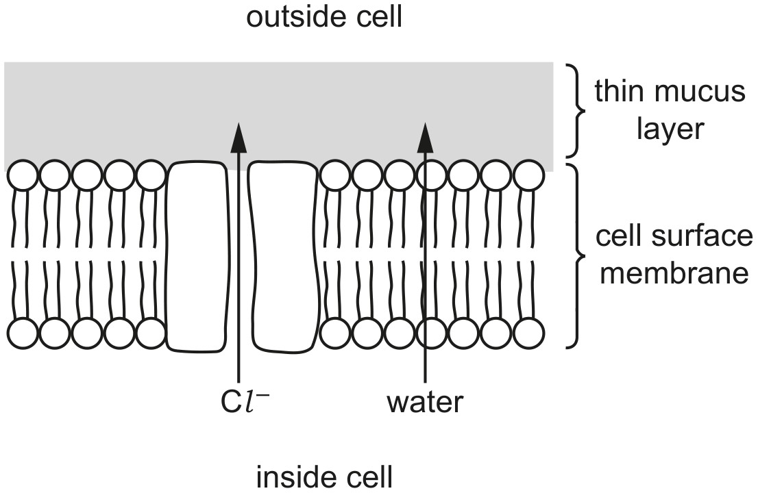 Fig. 4.1