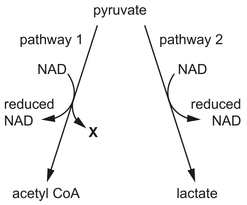 Fig. 6.1
