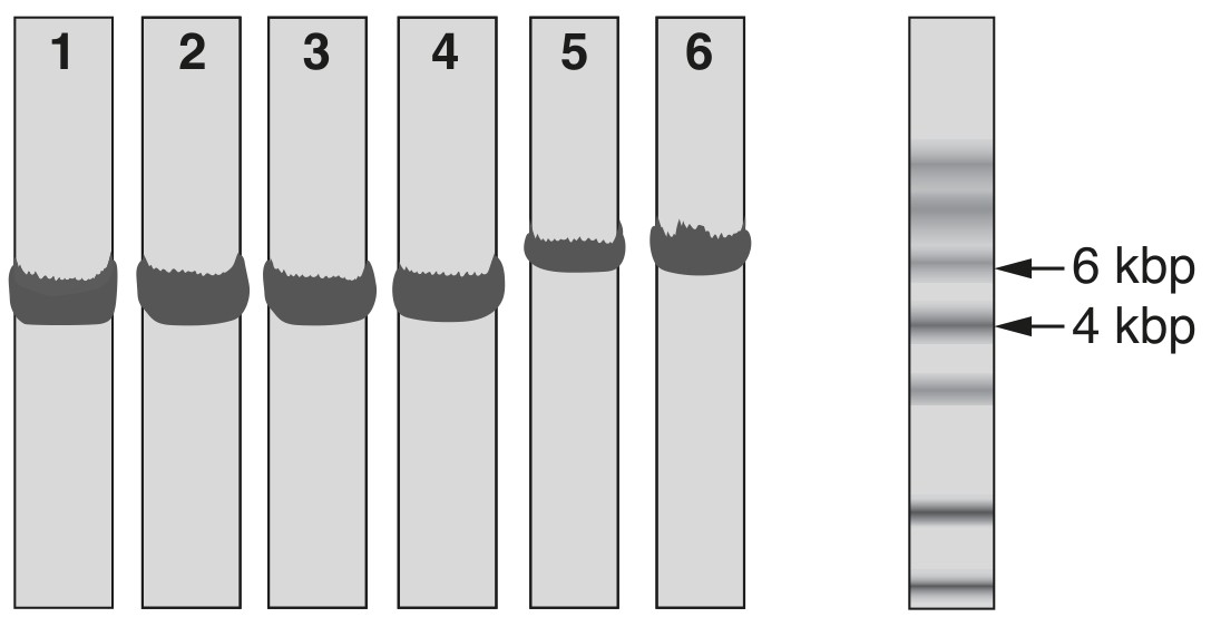 Fig. 5.1