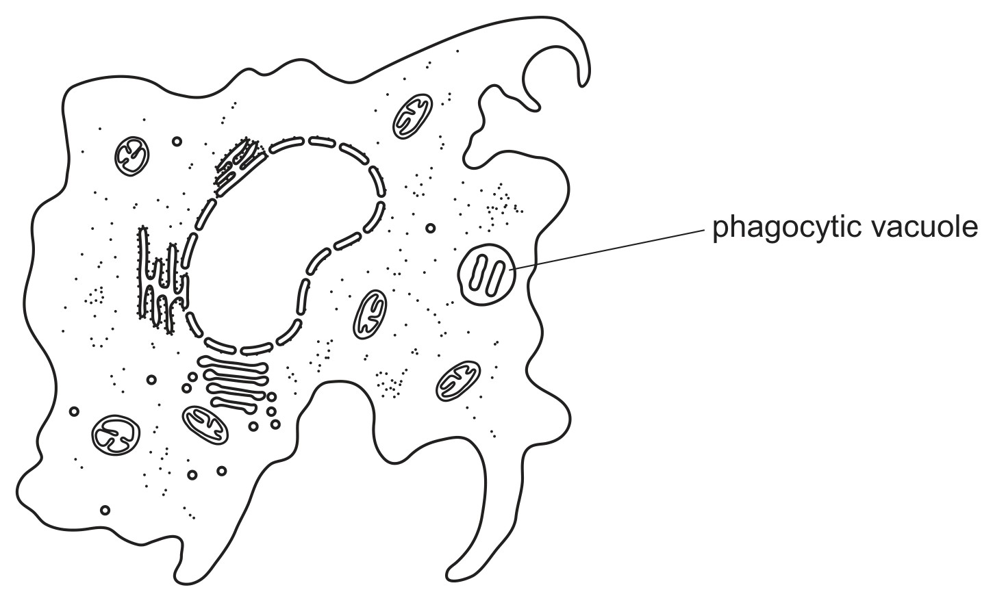 Fig. 2.1