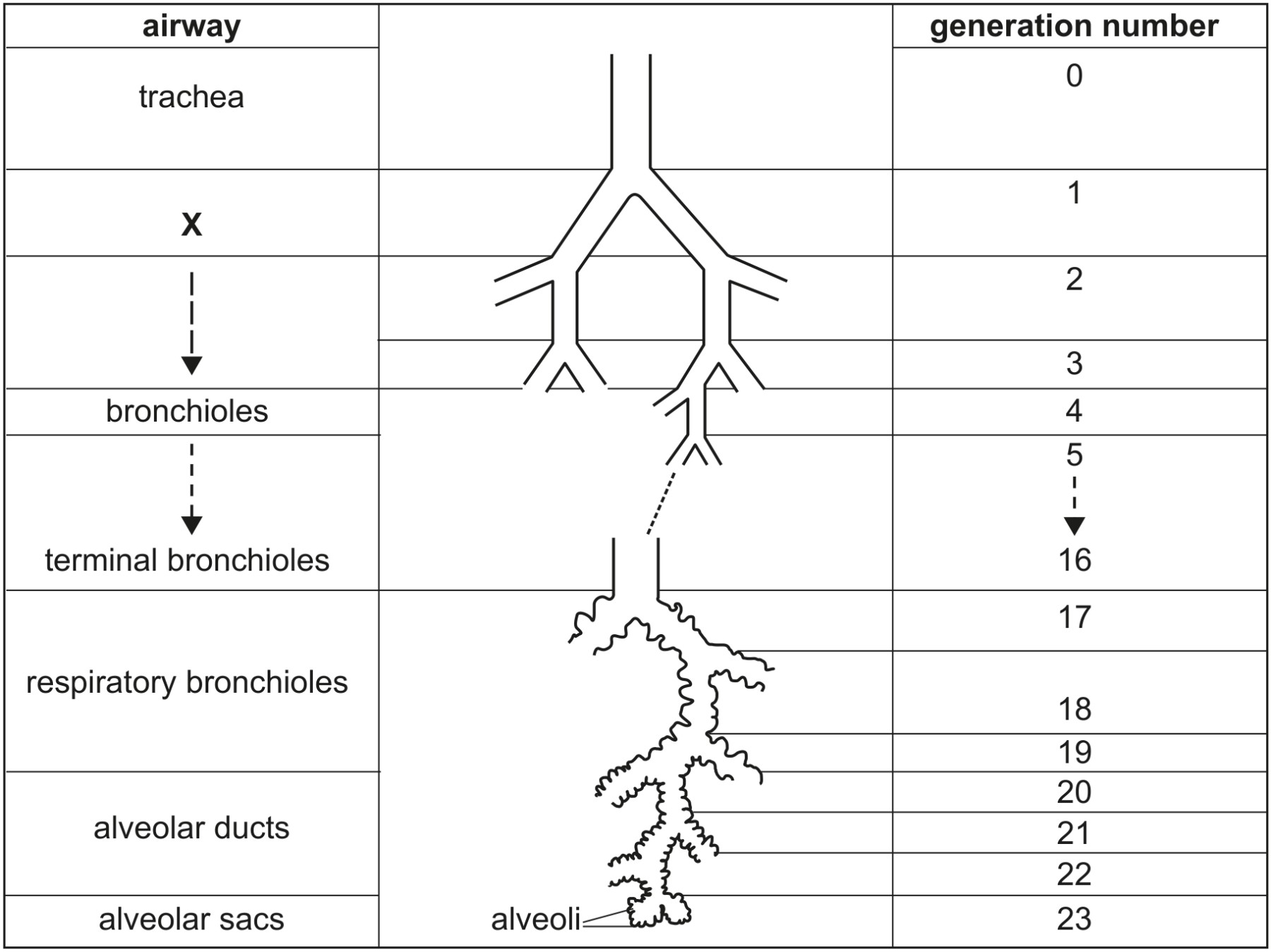 Fig. 6.1
