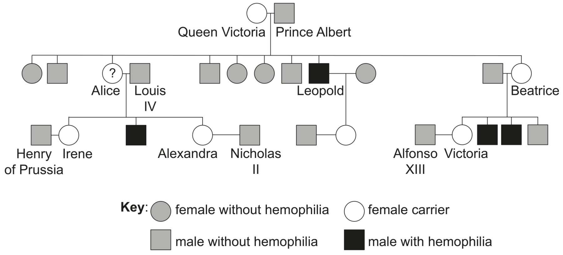 Figure for Question IB Biology HL D3.1.15 Hl Preventing Polyspermy Questions question 1 — IB Biology HL